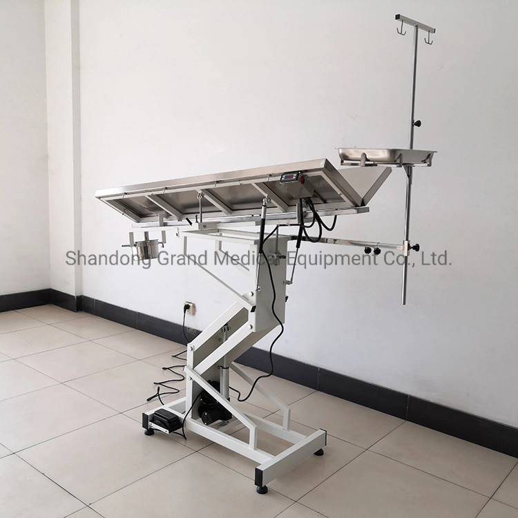 Electric Lifting Animal Shape Table Veterinary Heating Pet Operation Surgical Table V Shape