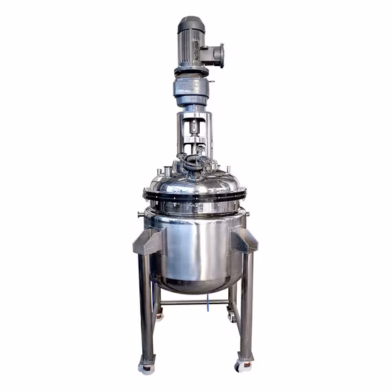 Solución llave en mano de planta de fermentación de biorreactor de farmacia biológica